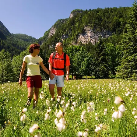 Pensjonat Gaestehaus Donautal