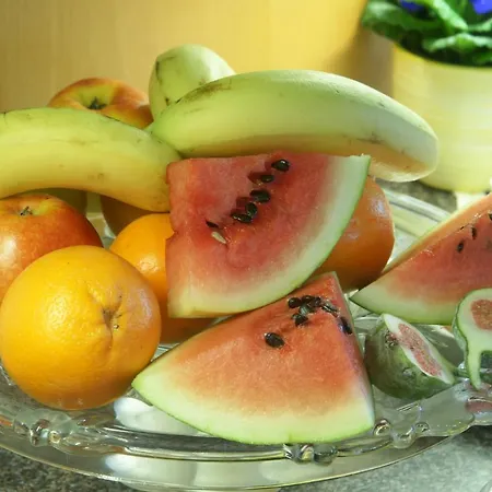 Gaestehaus Donautal Pensjonat Vichtenstein