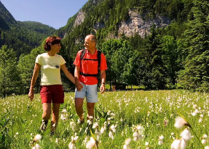 Гостевой дом Gaestehaus Donautal